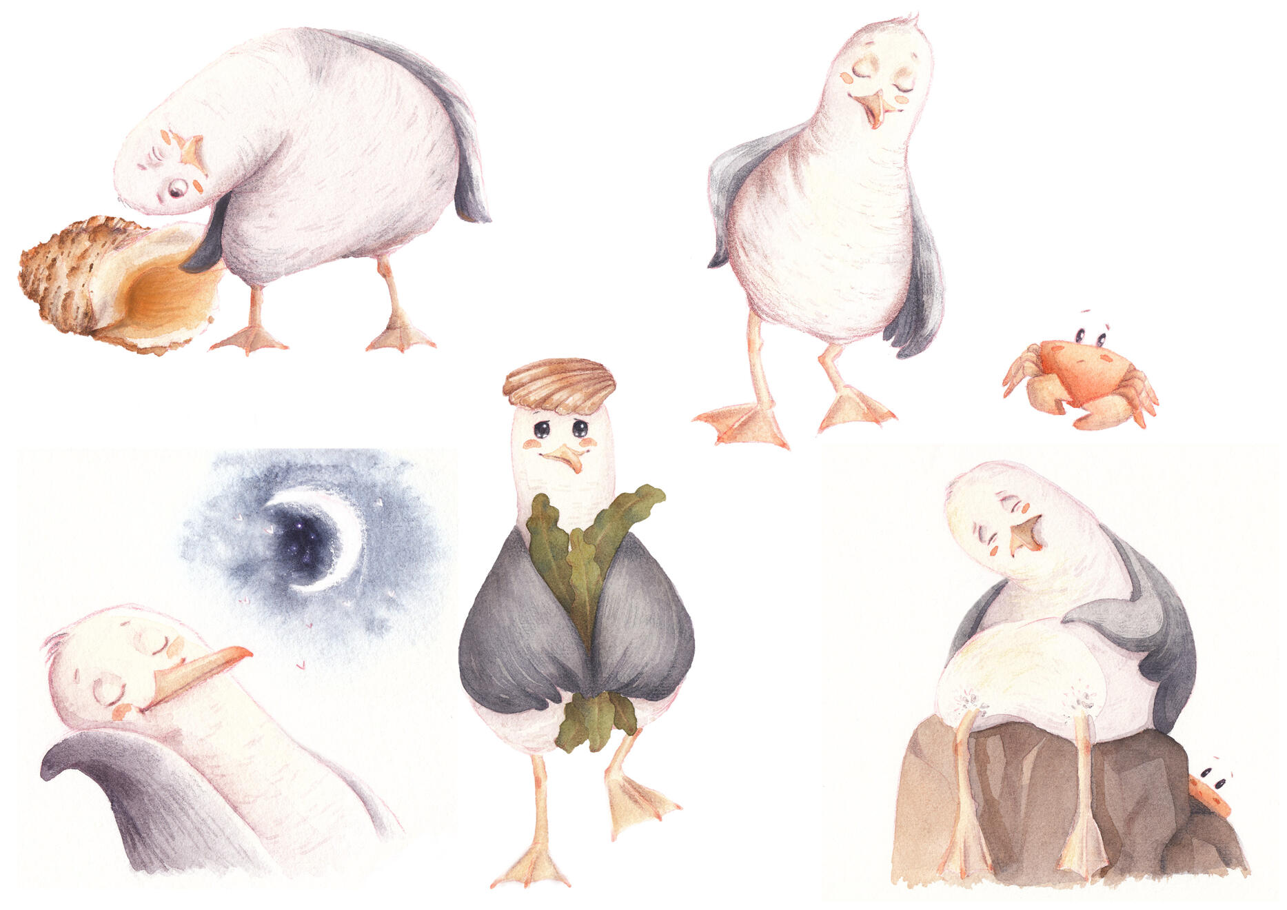 seagull life, watercolors